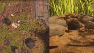 Go to the marked zone to find the cave (Image via Xbox Game Studios)